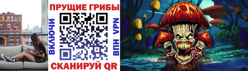 Купить где  Челябинск  Псилоцибиновые грибы мухоморы 